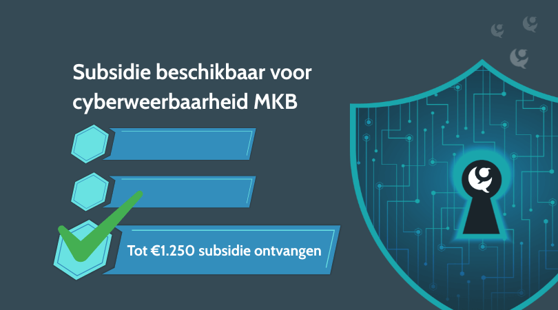 cybersubsidie cybersubsidie