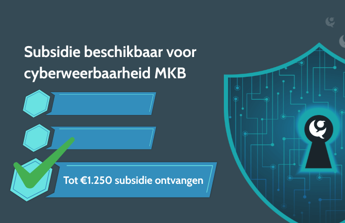 cybersubsidie cybersubsidie